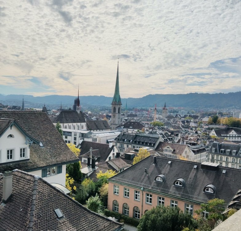 08_polyterrasse_panorama.jpg